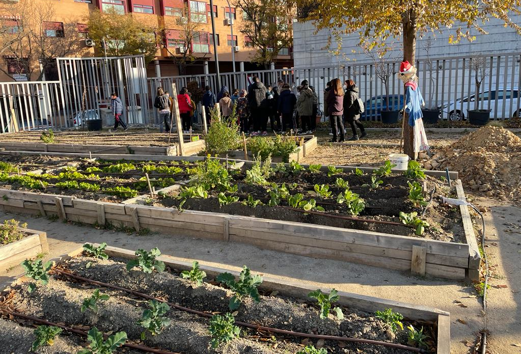 La Junta de Arganzuela rectifica y no cerrará el huerto urbano Las Vías