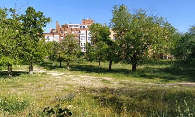 La vecindad de Campamento pide el amparo del Defensor del Pueblo para que el Parque de las Moreras no sea pasto de la especulación inmobiliaria