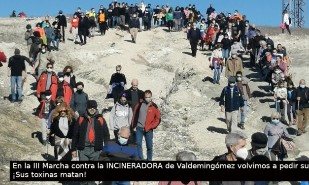 2022 en imágenes: crisis, resistencias y logros vecinales