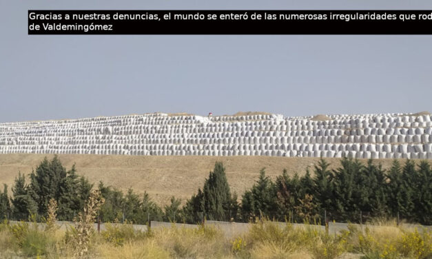 2022 en imágenes: crisis, resistencias y logros vecinales