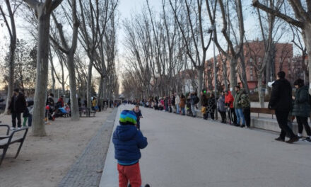 La AV Pasillo Verde pide en el juzgado la paralización cautelar de la tala de árboles del Parque de Arganzuela