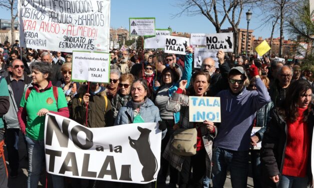 El Ayuntamiento y la Comunidad de Madrid desprecian la participación ciudadana en la tramitación de normas importantes para la vecindad