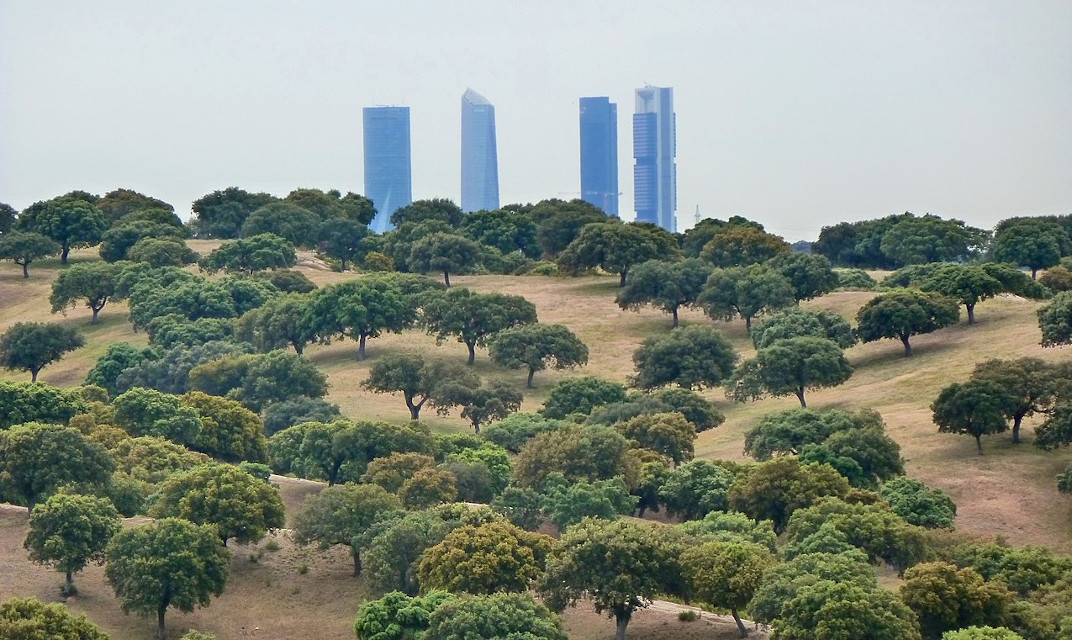 El Monte de El Pardo debe gestionarse bajo una figura de protección que garantice la conservación de su biodiversidad