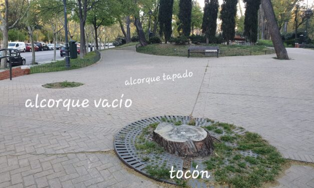 Dos nuevas protestas contra las actuaciones del Ayuntamiento en los parques de Madrid