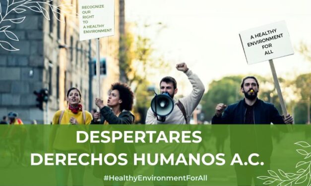 La ONU concede su premio anual de Derechos Humanos a una coalición internacional en la que participa la FRAVM