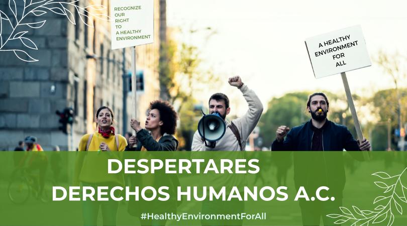 La ONU concede su premio anual de Derechos Humanos a una coalición internacional en la que participa la FRAVM
