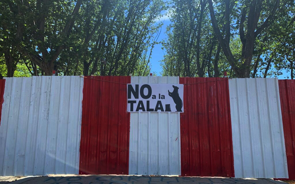 Talas de árboles: más irregularidades en el procedimiento de la ampliación de la línea 11 de Metro