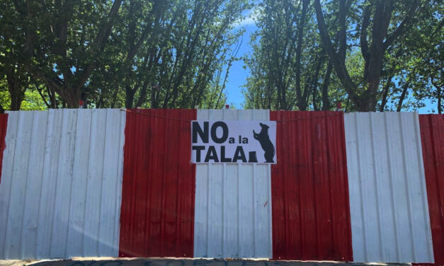 Talas de árboles: más irregularidades en el procedimiento de la ampliación de la línea 11 de Metro