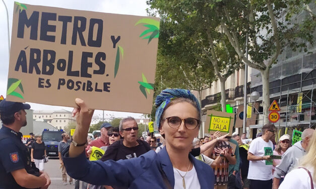 Los colectivos vecinales llevan al Parlamento Europeo la tala de árboles de la ampliación de la línea 11