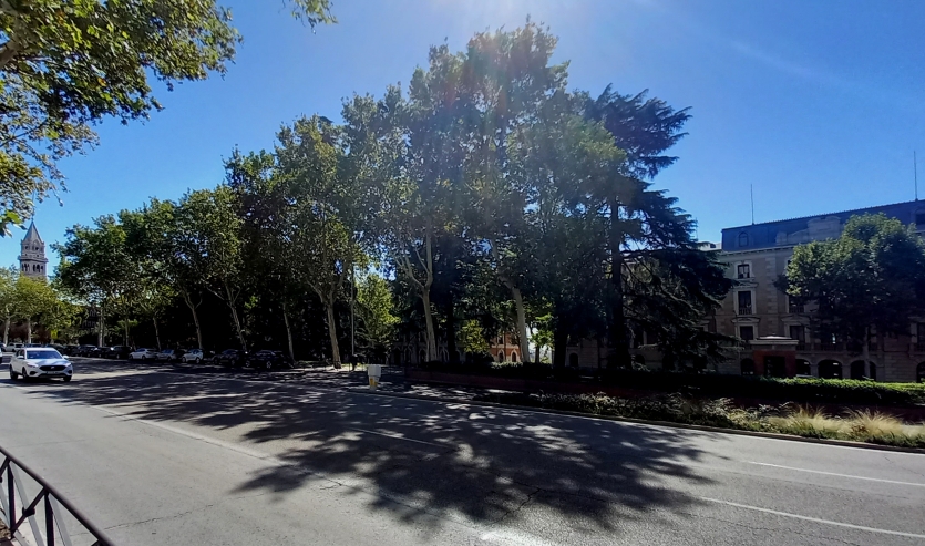 El arbolado del Paisaje de la Luz también es Patrimonio Mundial