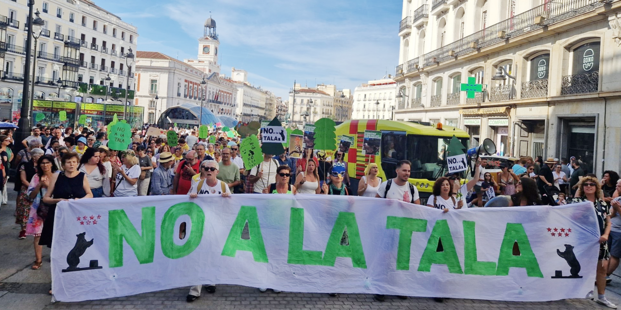 Tala de árboles por la ampliación de la línea 11 de Metro: reunión infructuosa con la Comunidad de Madrid