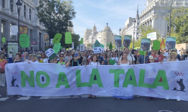 Este sábado, tres manifestaciones simultáneas rechazarán las talas de árboles y defenderán un Madrid más sostenible