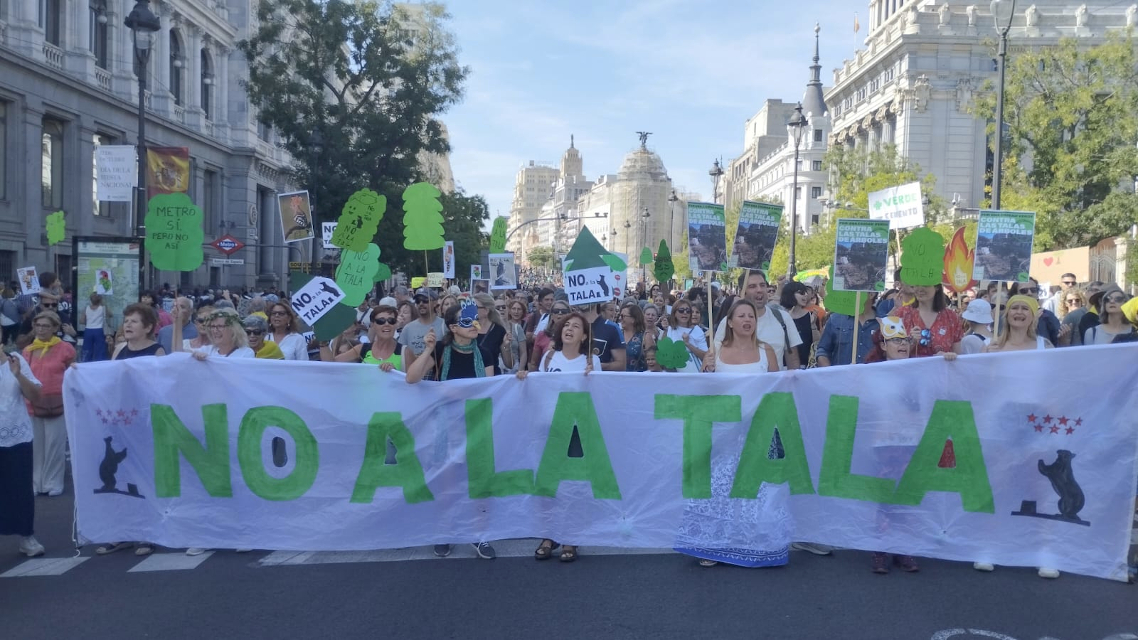 Este sábado, tres manifestaciones simultáneas rechazarán las talas de árboles y defenderán un Madrid más sostenible