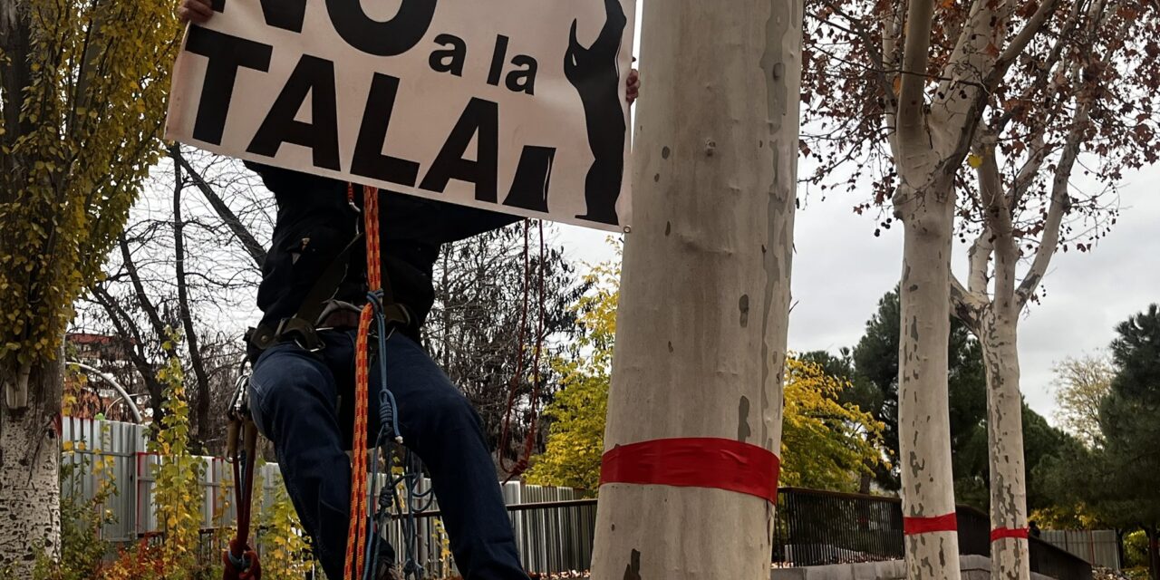 Colecta para hacer frente a las multas por las protestas contra la tala de árboles de la ampliación de la línea 11 de Metro