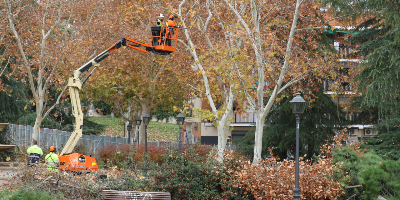 Protesta en el parque de Comillas contra el inicio de las talas de árboles de la ampliación de la línea 11 de Metro