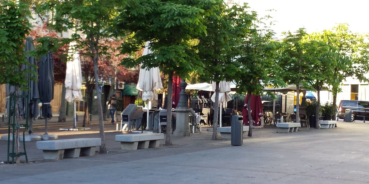 Stop al arboricidio de la plaza de Santa Ana (Madrid Centro)