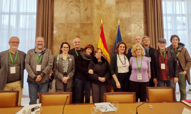 La FRAVM y el movimiento No a la tala piden a la ministra Ribera una legislación más ambiciosa para proteger el arbolado urbano