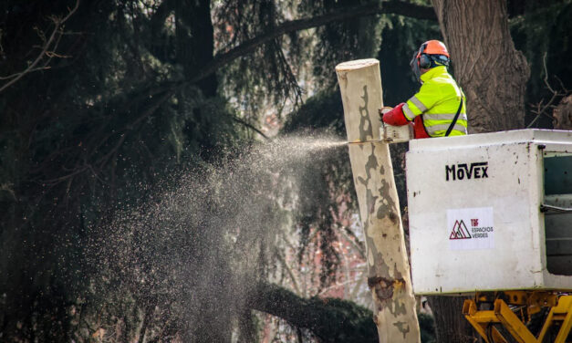 Las asociaciones vecinales llevan su crítica a las talas de arbolado a los plenos de las juntas de Retiro y Centro