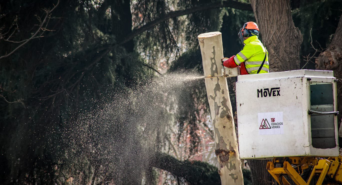 Las asociaciones vecinales llevan su crítica a las talas de arbolado a los plenos de las juntas de Retiro y Centro