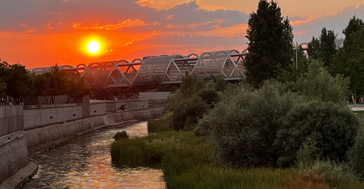 Más de 80 científicos firman un manifiesto contra la iluminación nocturna sobre el cauce del río Manzanares