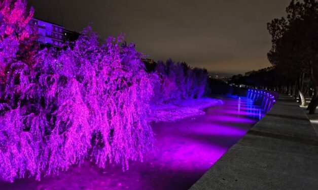 “Adopta un pájaro”: jornada en defensa de las aves en Madrid Río y contra las luces en el Manzanares