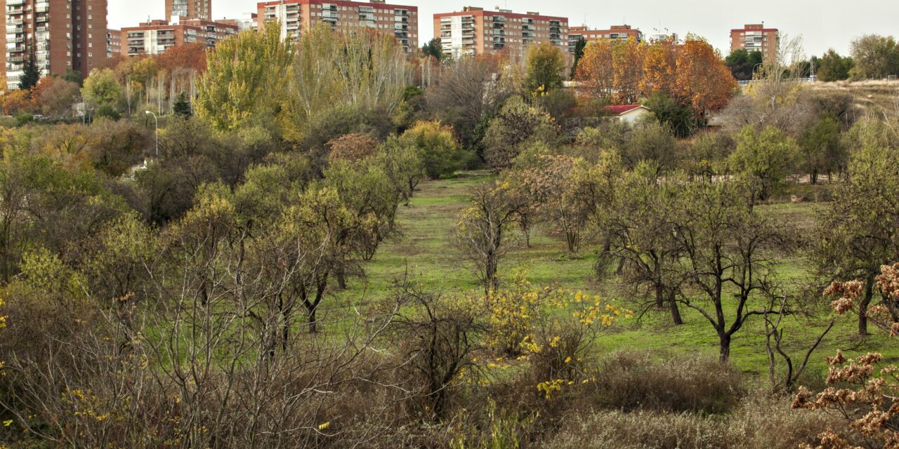 Entidades de Hortaleza entregarán más de 6.000 firmas para proteger Huerta de Mena, la centenaria finca de Los Almendros