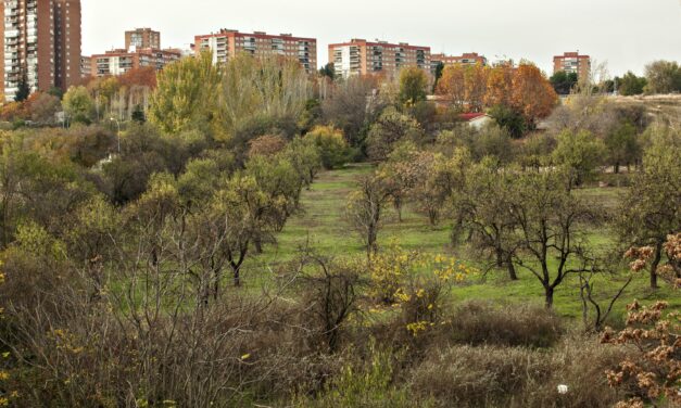 Entidades de Hortaleza entregarán más de 6.000 firmas para proteger Huerta de Mena, la centenaria finca de Los Almendros