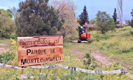Almeida ofrece la negociación de la motosierra y la mentira en Montecarmelo