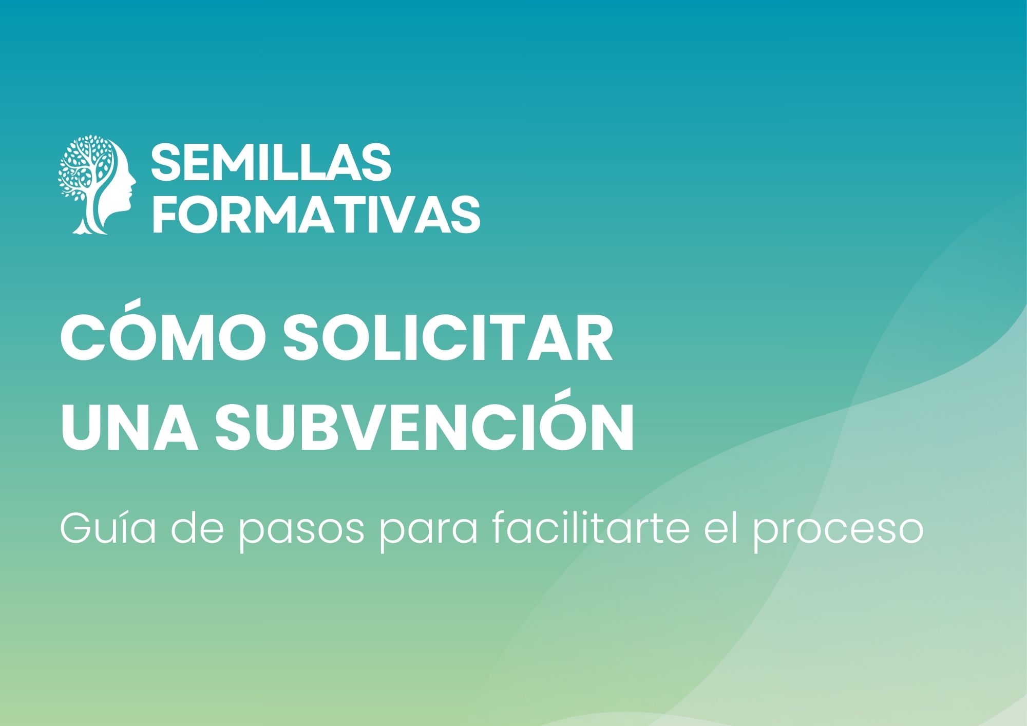 Solicitar subvención