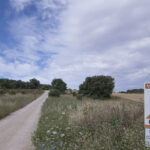Colectivos ecologistas y vecinales piden al Ministerio que frene la desprotección de las vías pecuarias de Madrid