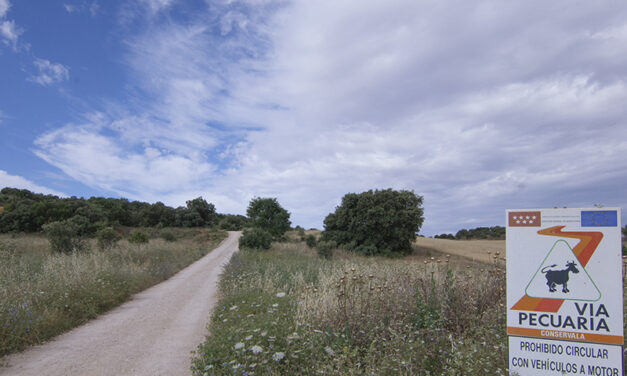Colectivos ecologistas y vecinales piden al Ministerio que frene la desprotección de las vías pecuarias de Madrid