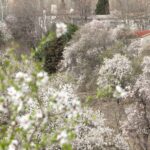 Salvar Hortaleza presenta 7.000 firmas para que la Comunidad de Madrid proteja la centenaria Huerta de Mena