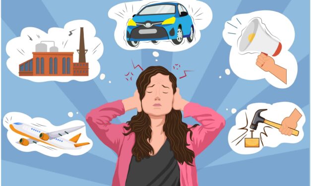 La CEAV reclama campañas de sensibilización que muestren los efectos nocivos del ruido en la salud