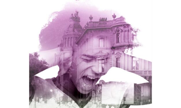 36 organizaciones madrileñas alertan sobre los graves problemas de salud que ocasiona el ruido