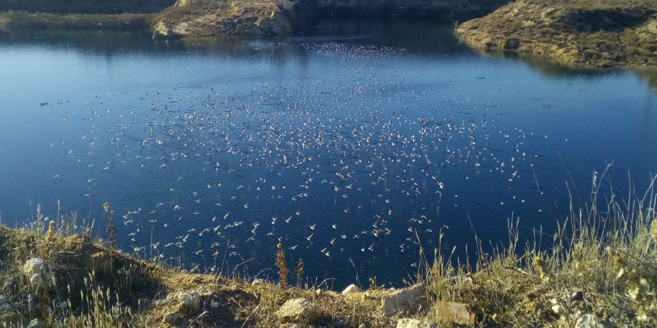 La Comunidad de Madrid no puede otorgar a Tolsa la concesión de la explotación de sepiolita que destruiría las Lagunas de Ambroz