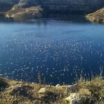 La Comunidad de Madrid no puede otorgar a Tolsa la concesión de la explotación de sepiolita que destruiría las Lagunas de Ambroz