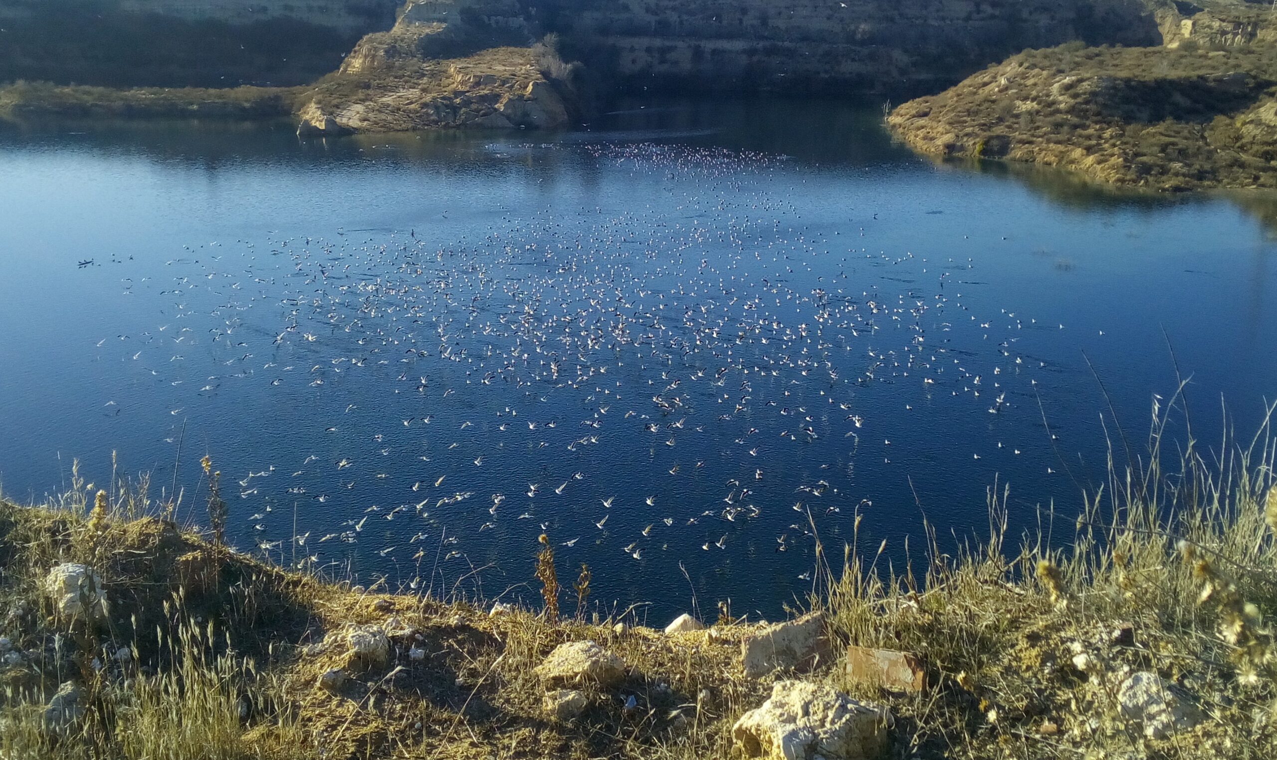 La Comunidad de Madrid no puede otorgar a Tolsa la concesión de la explotación de sepiolita que destruiría las Lagunas de Ambroz