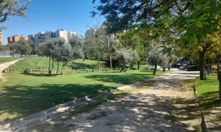 Denuncian la tala de 300 árboles en el único parque de Vista Alegre (Madrid-Carabanchel)