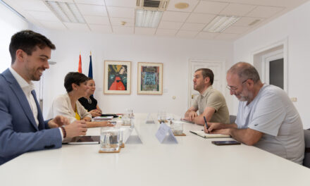 La FRAVM y la CEAV trasladan a la ministra de Vivienda sus propuestas prioritarias sobre alquiler de temporada, rehabilitación y la ventanilla única de registro
