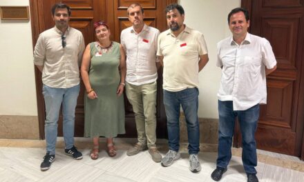Reforma de la ley del suelo estatal: las asociaciones vecinales piden más instrumentos para proteger el medio ambiente y el patrimonio y facilitar la intervención ciudadana
